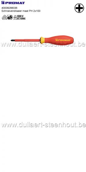 Tweede leerjaar Landschap knelpunt Dullaert-Steenhout Ninove | Promat - Geïsoleerde kruisschroevendraaier AC  1000V PH 2x100 - 4000828036