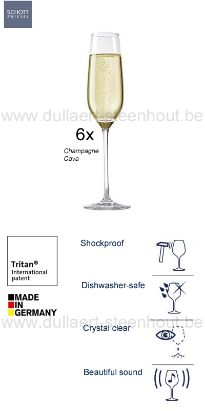 Praktisch Jongleren Bij wet Dullaert-Steenhout Ninove | Scott Zwiesel - 6 Champagne glazen / Cava glazen  Fortissimo